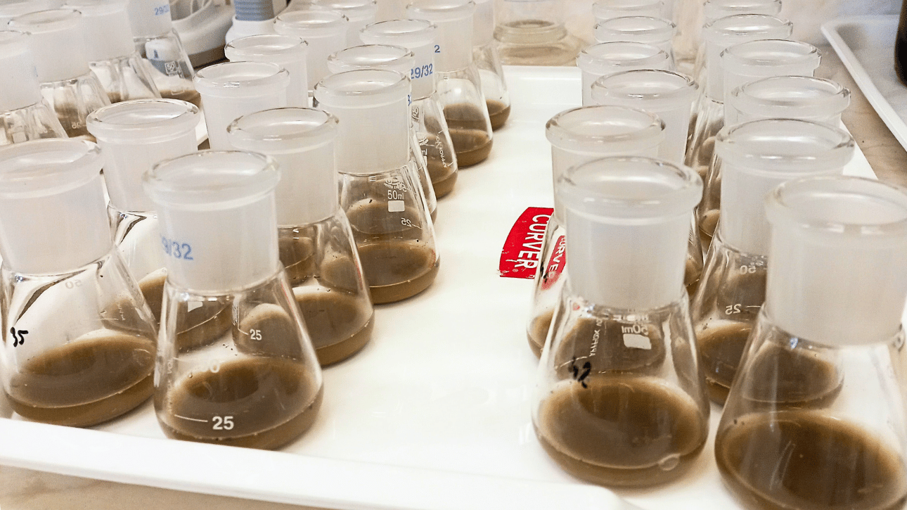 Analiza aktywności enzymów glebowych